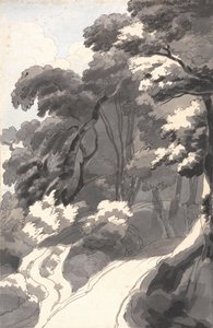 The Chestnut Grove, Near Rocca del Papa Near Lake Albano